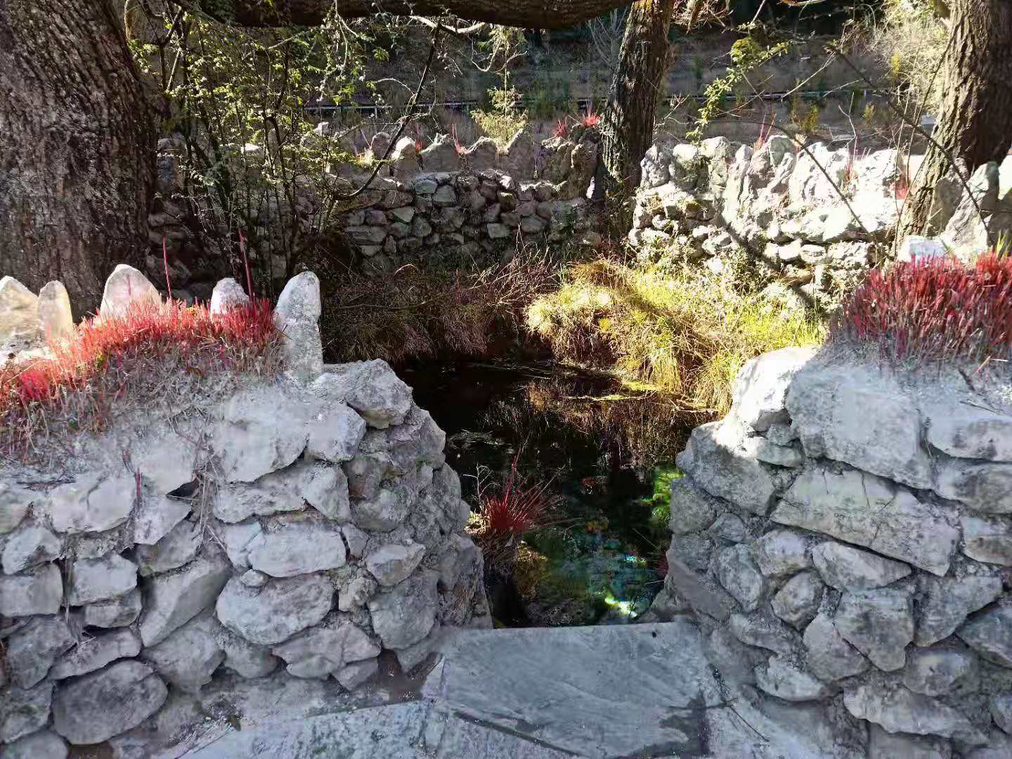 神泉